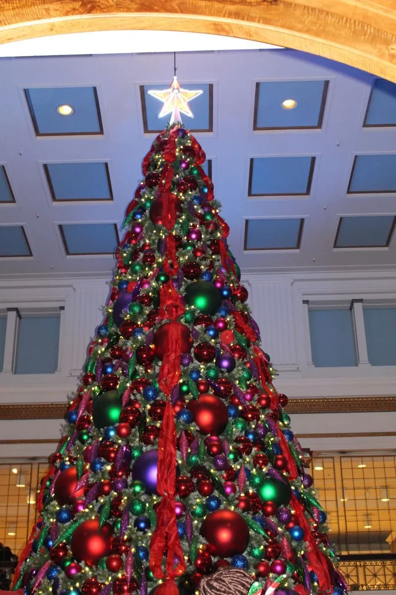 IMG 5827 e1514268594284