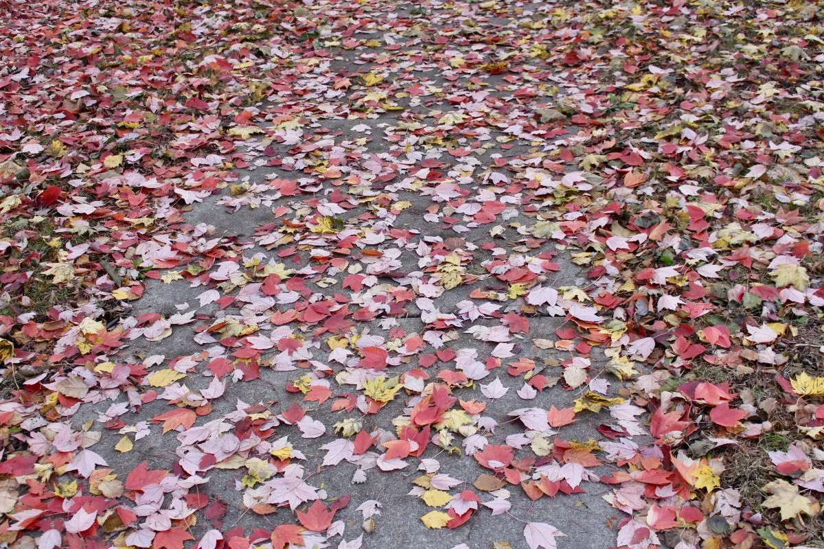 Ten Things All Writers Must Do