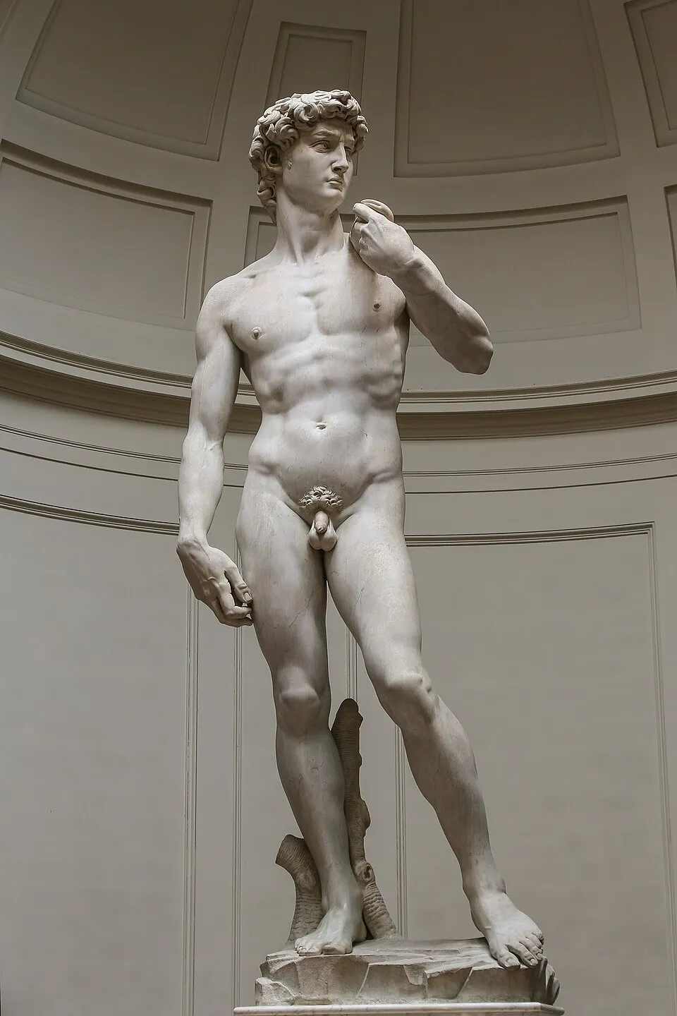Michelangelo's David